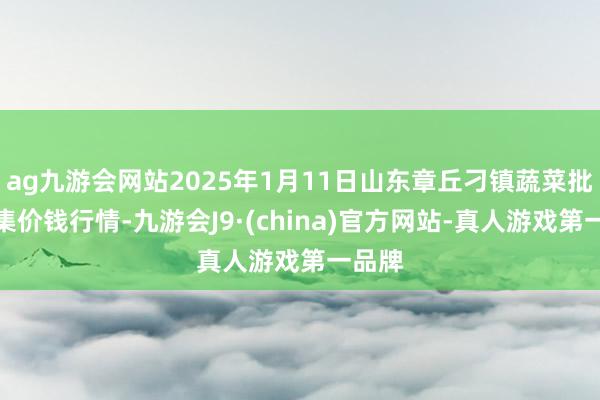 ag九游会网站2025年1月11日山东章丘刁镇蔬菜批发市集价钱行情-九游会J9·(china)官方网站-真人游戏第一品牌