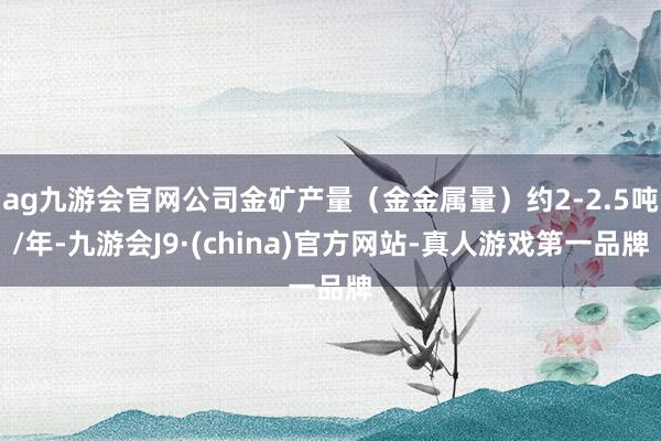 ag九游会官网公司金矿产量（金金属量）约2-2.5吨/年-九游会J9·(china)官方网站-真人游戏第一品牌