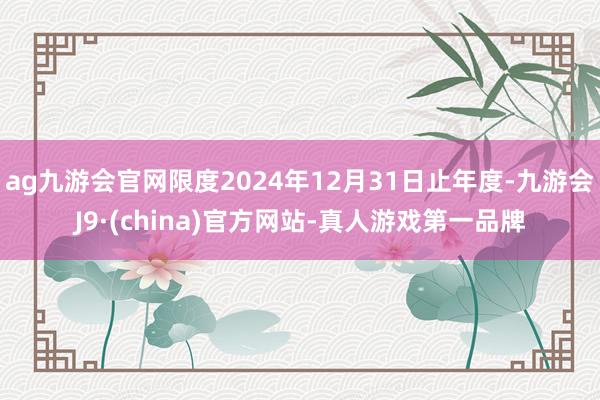 ag九游会官网限度2024年12月31日止年度-九游会J9·(china)官方网站-真人游戏第一品牌