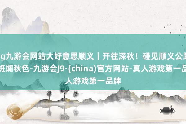 ag九游会网站大好意思顺义丨开往深秋！碰见顺义公路的斑斓秋色-九游会J9·(china)官方网站-真人游戏第一品牌